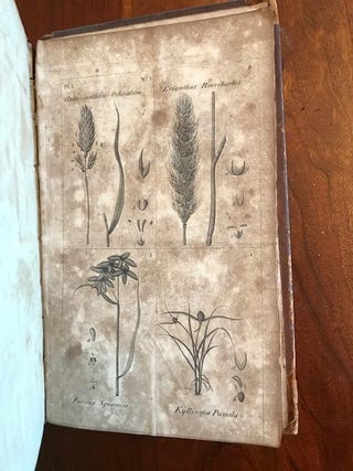 A Sketch of the Botany of South Carolina and Georgia in Two Volumes.