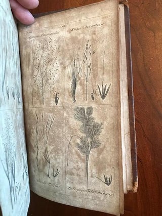 A Sketch of the Botany of South Carolina and Georgia in Two Volumes.