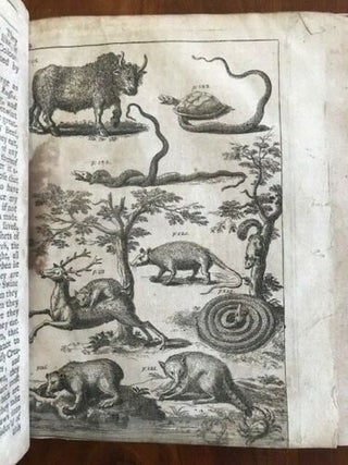 THE HISTORY OF CAROLINA, CONTAINING THE EXACT DESCRIPTION AND NATURAL HISTORY OF THAT COUNTRY, TOGETHER WITH THE PRESENT STATE THEREOF AND A JOURNAL OF A THOUSAND MILES TRAVELED THROUGH SEVERAL NATIONS OF INDIANS, GIVING A PARTICULAR ACCOUNT OF THEIR CUSTOMS, MANNERS, &c., &c.