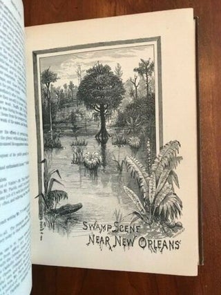 Historical Sketch Book and Guide to New Orleans and Environs