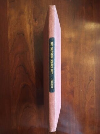 The Southern Soldier Boy: A Thousand Shots for the Confederacy