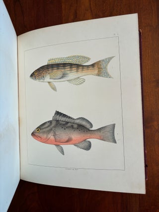 Ichthyology of South Carolina