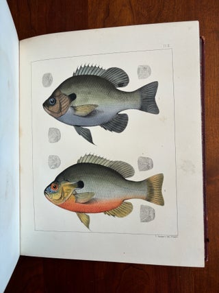 Ichthyology of South Carolina