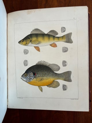 Ichthyology of South Carolina