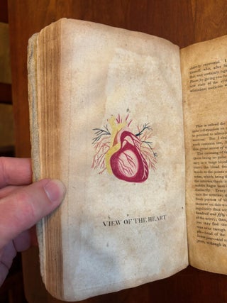 Gunn's Domestic Medicine or Poor Man's Friend. In the Hours of Affliction, Pain, and Sickness. This Book Points Out, in Plain Language, Free from Doctor's Terms the Diseases of Men, Women, and Children, and the Latest and Most Approved Means Used in Their Cure, and is Expressly Written for the Benefit of Families in the Western and Southern States. It also Contains Descriptions of the Medicinal Roots and Herbs of the Western and Southern Country, and How They are to be Used in the Cure of Diseases: Arranged on a New and Simple Plan, by which the Practice of Medicine is Reduced to Principles of Common Sense.