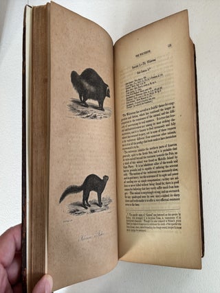 AMERICAN NATURAL HISTORY. VOLS. I & II.